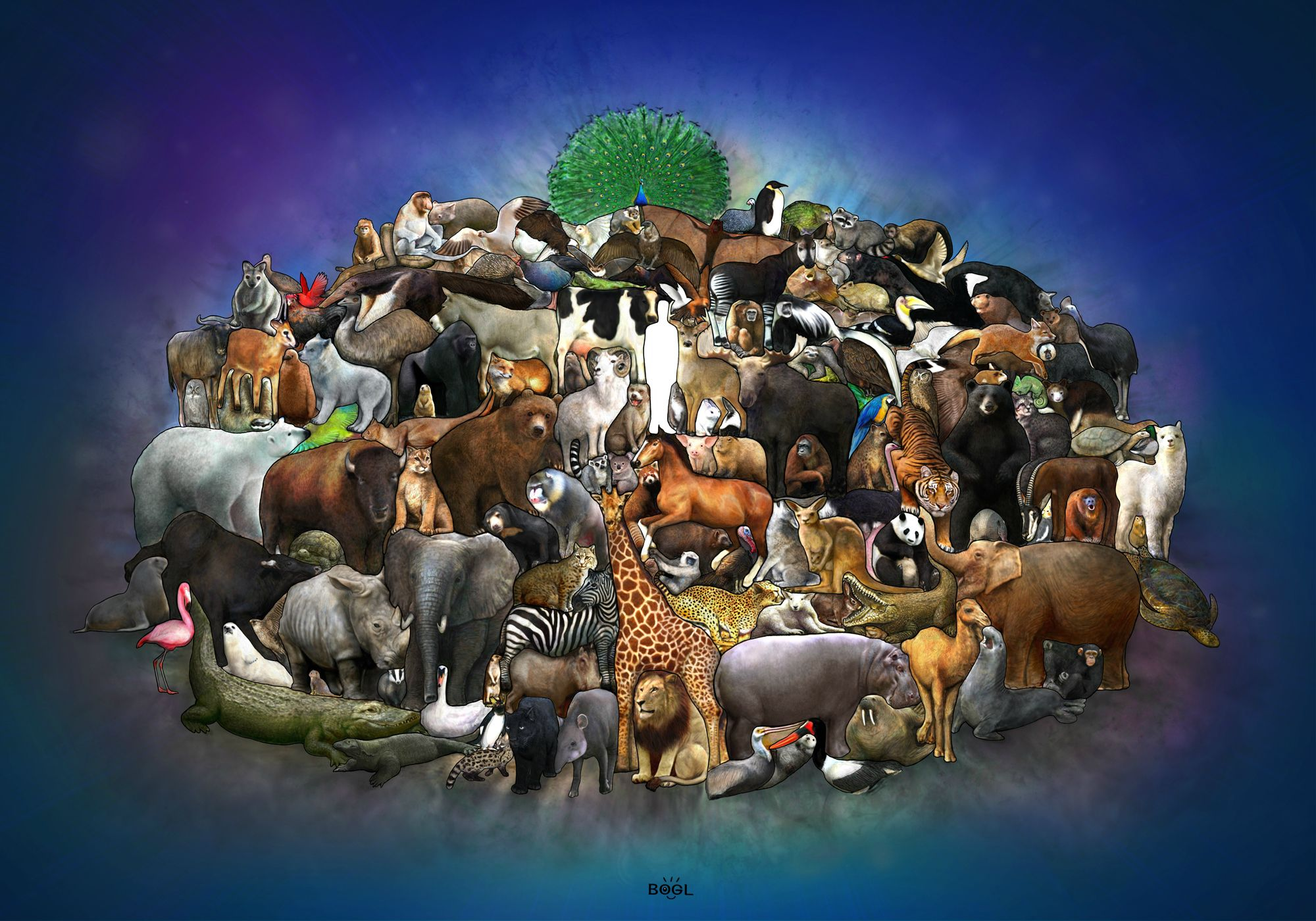 Animal Health Prediction